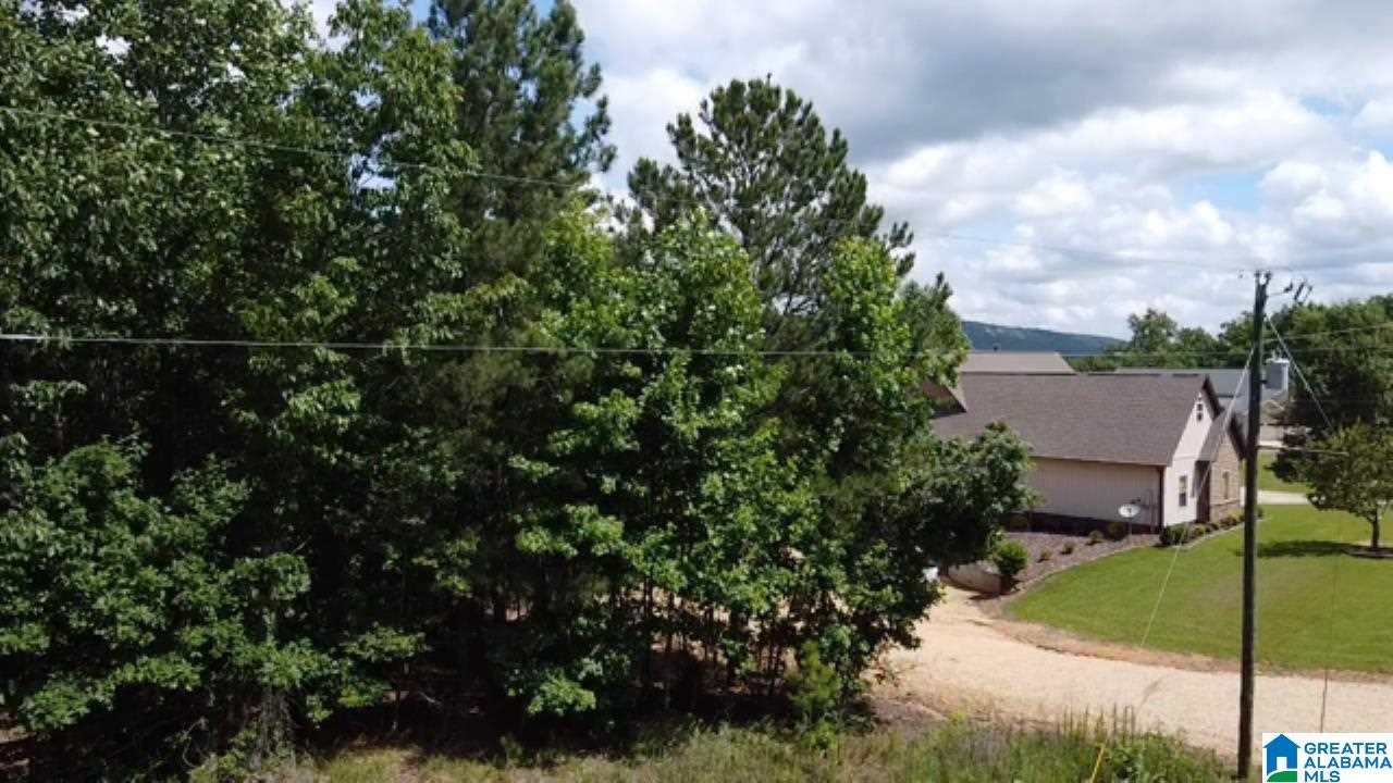 0 Wolf Pen Ridge Road, Unit 3 ACRES Pell City, AL 35128 - Photo 3 of 5