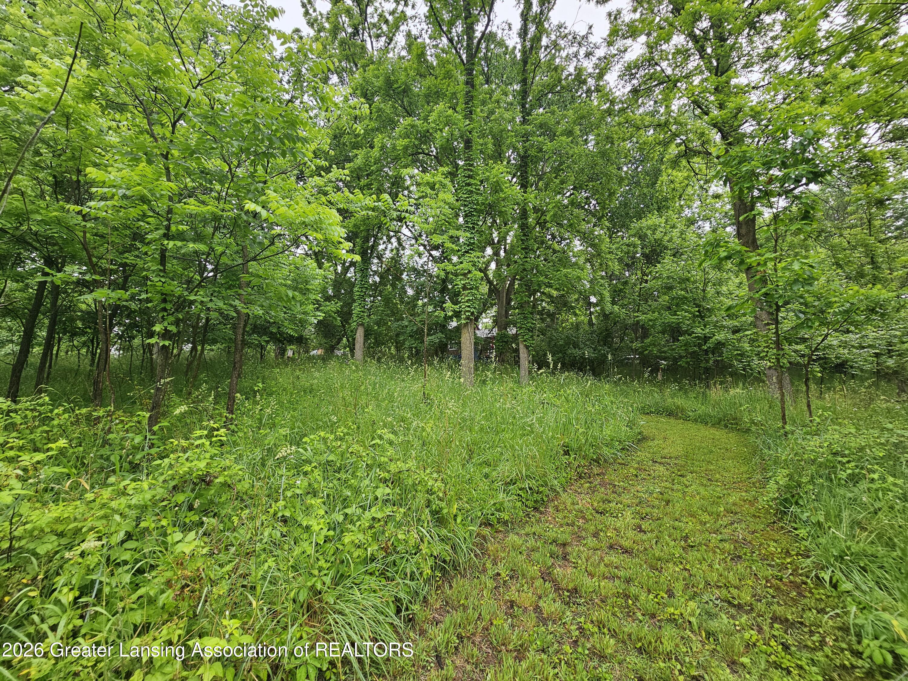 14540 South Wacousta Road Grand Ledge, MI 48837 - Photo 39 of 48 Trails cut
