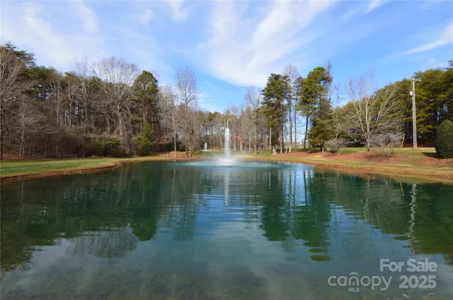 a view of road with trees