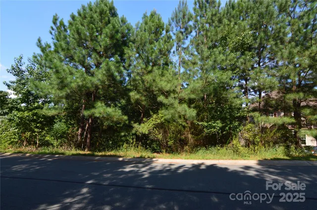 an outdoor view of garden