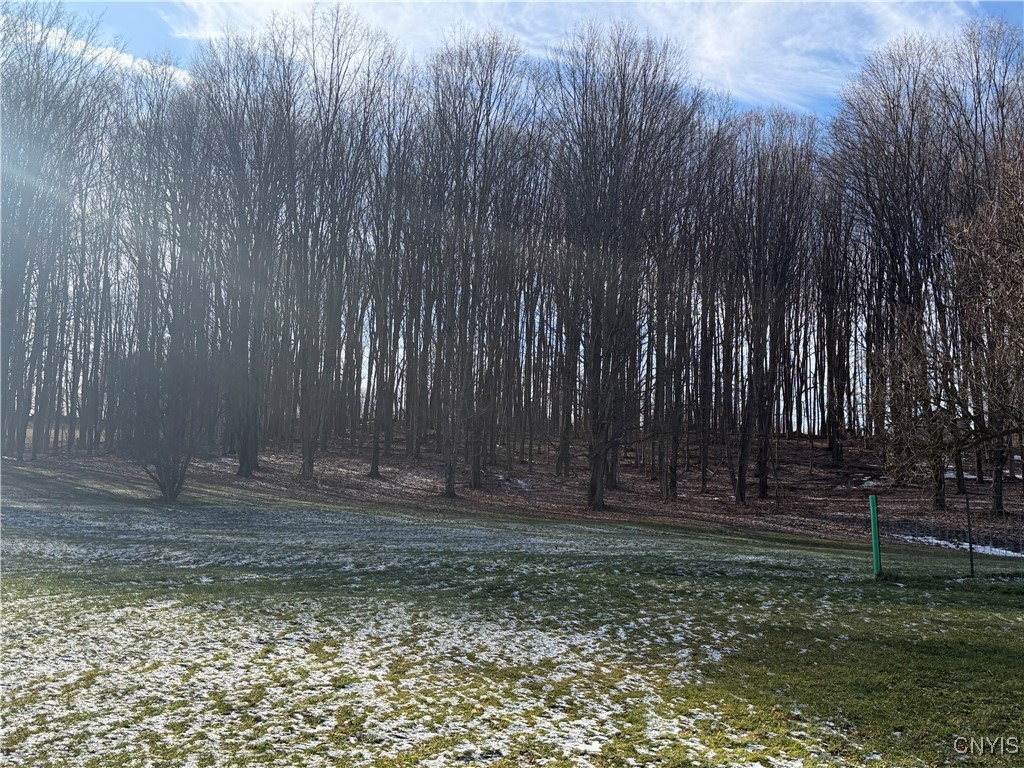 39 Stauber Road Groton, NY 13073 - Photo 42 of 50 view of the woods