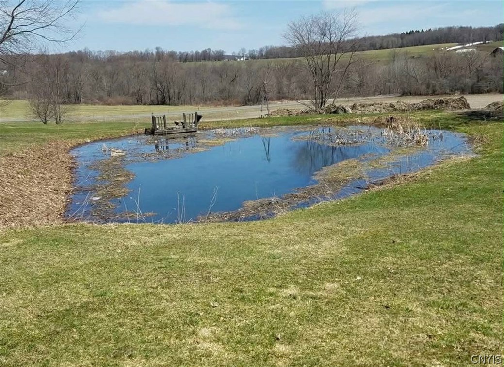39 Stauber Road Groton, NY 13073 - Photo 43 of 50 summer time view of the pond behind the house
