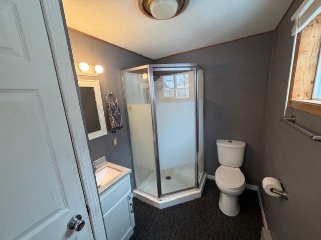 824 12th Street North Virginia, MN 55792 - Photo 13 of 34 Bathroom with vanity, a stall shower, and vaulted ceiling