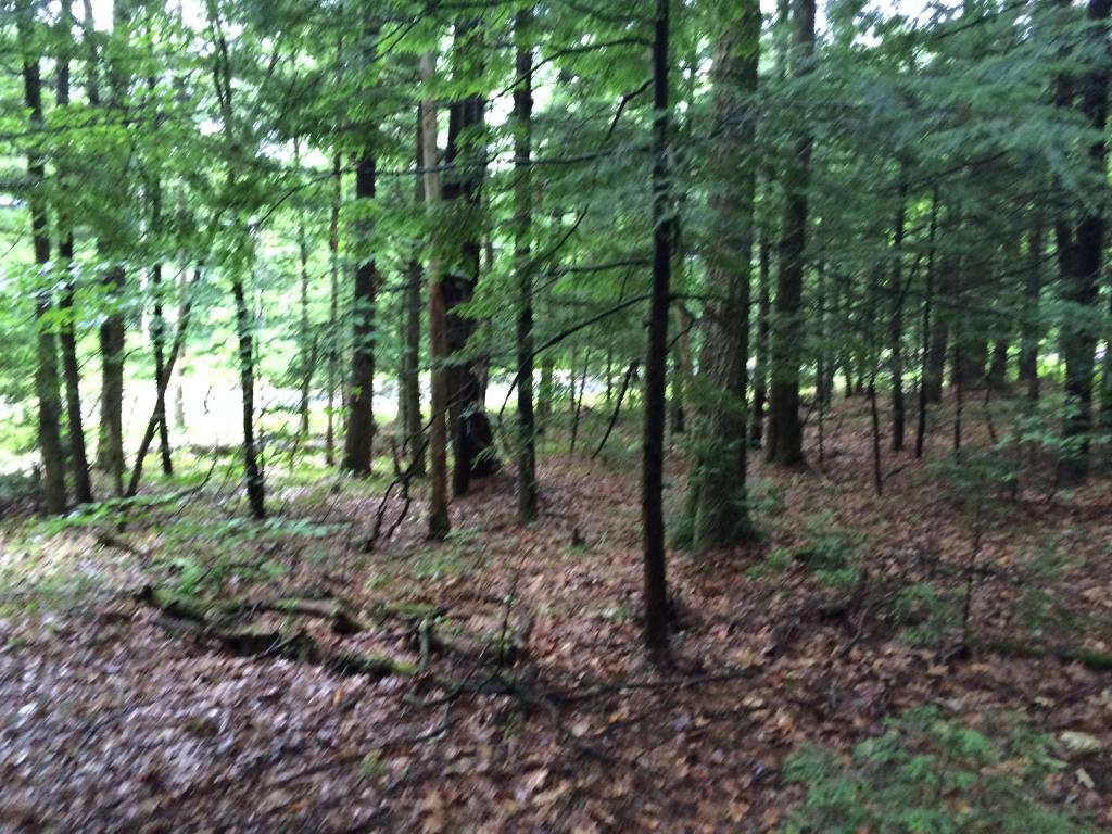 0 East Fitzwilliam Road Richmond, NH 03470 - Photo 3 of 11