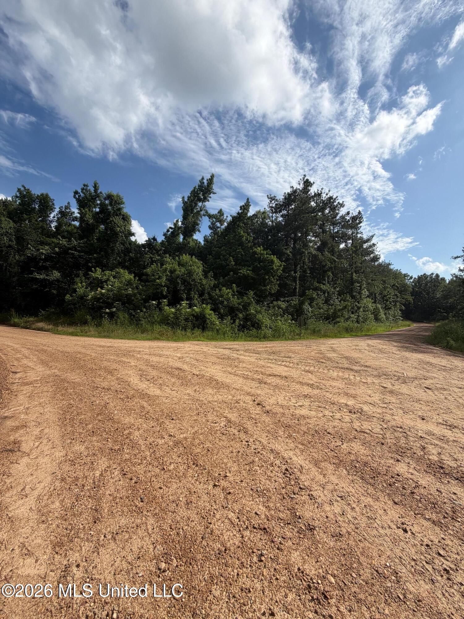 159 County Road Coila, MS 38923 - Photo 5 of 9 IMG_1298