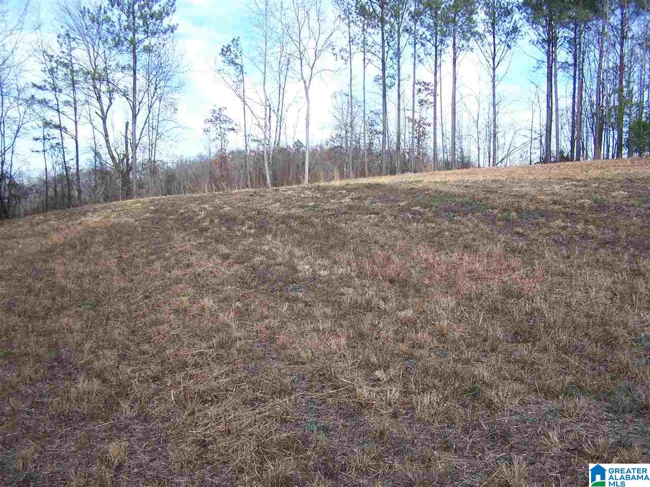 Alabama Avenue, Unit 4 Oneonta, AL 35121 - Photo 8 of 10