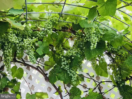 $299,900 | 2118 North Wanamaker Street, Philadelphia, PA 19131