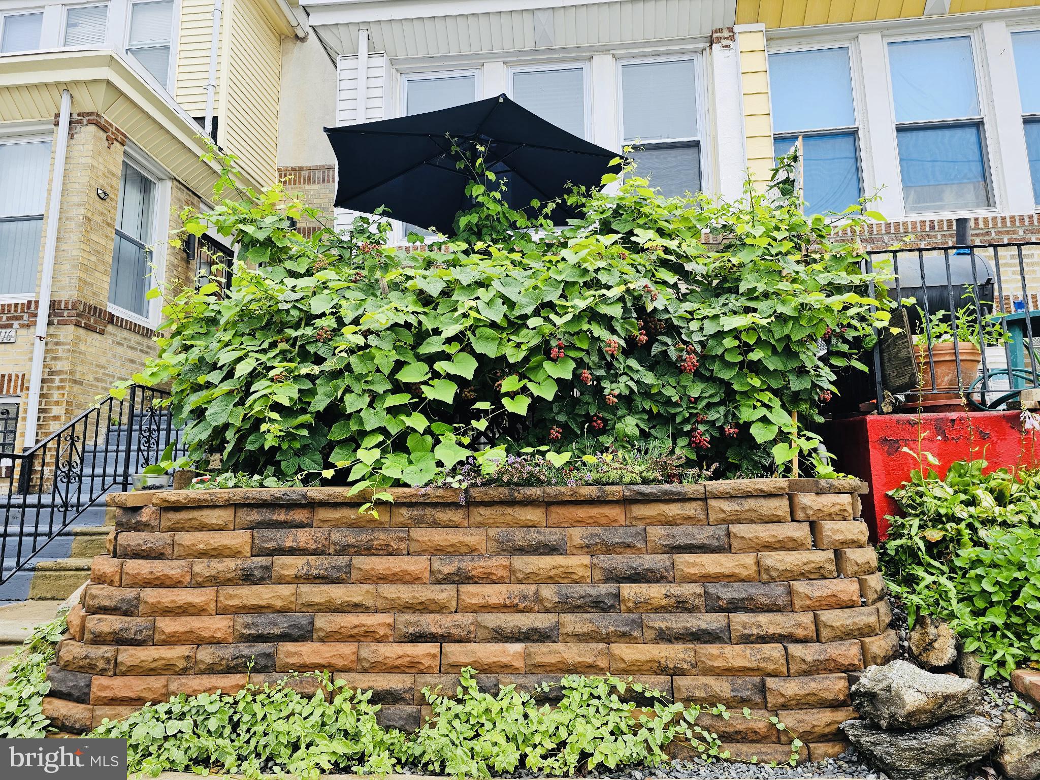 2118 North Wanamaker Street Philadelphia, PA 19131 - Photo 33 of 33 Garden in full bloom