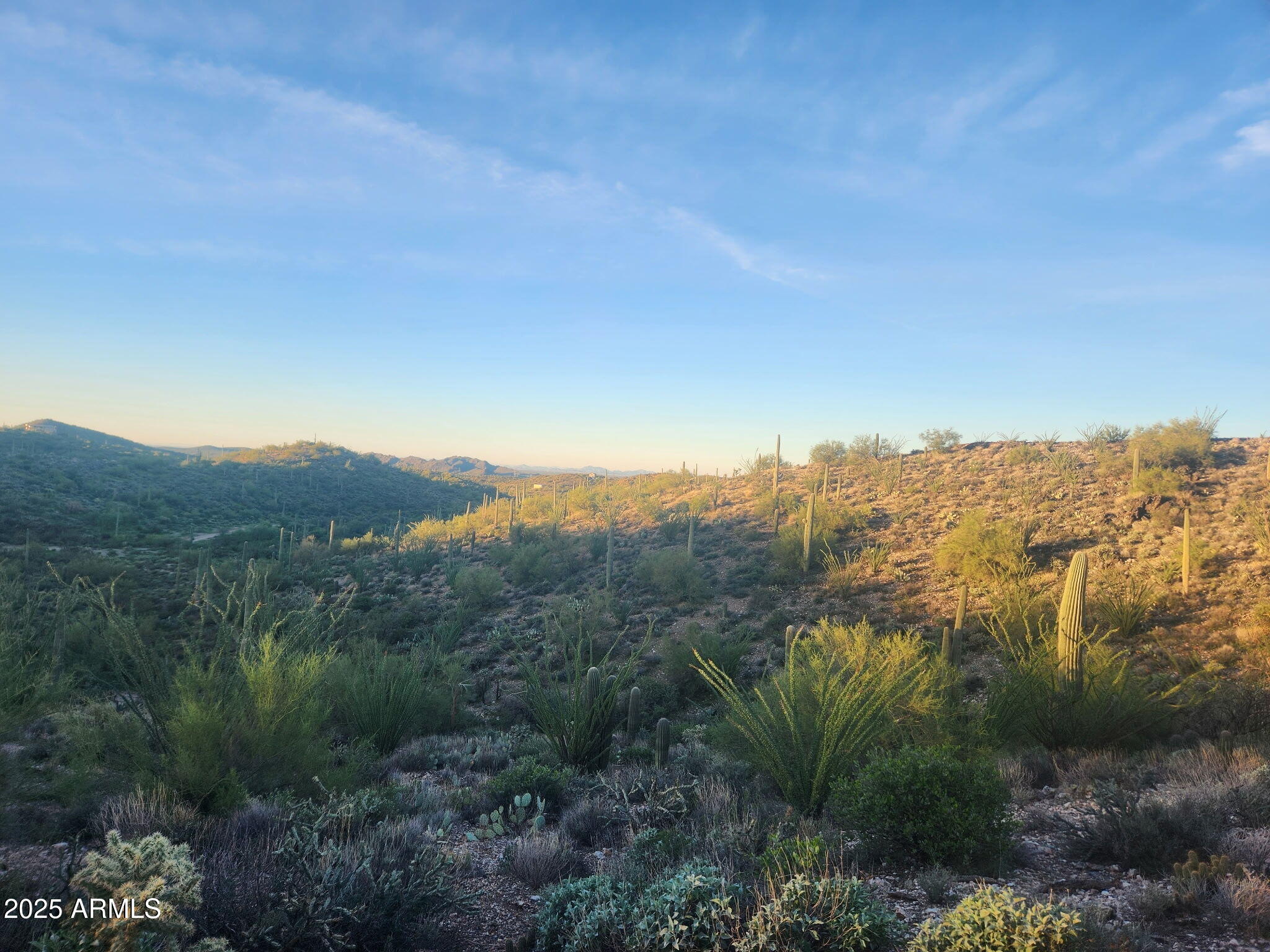 11-xx North Hardt Tank Road, Unit 2 Gold Canyon, AZ 85118 - Photo 2 of 11 a view of a mountain range with trees