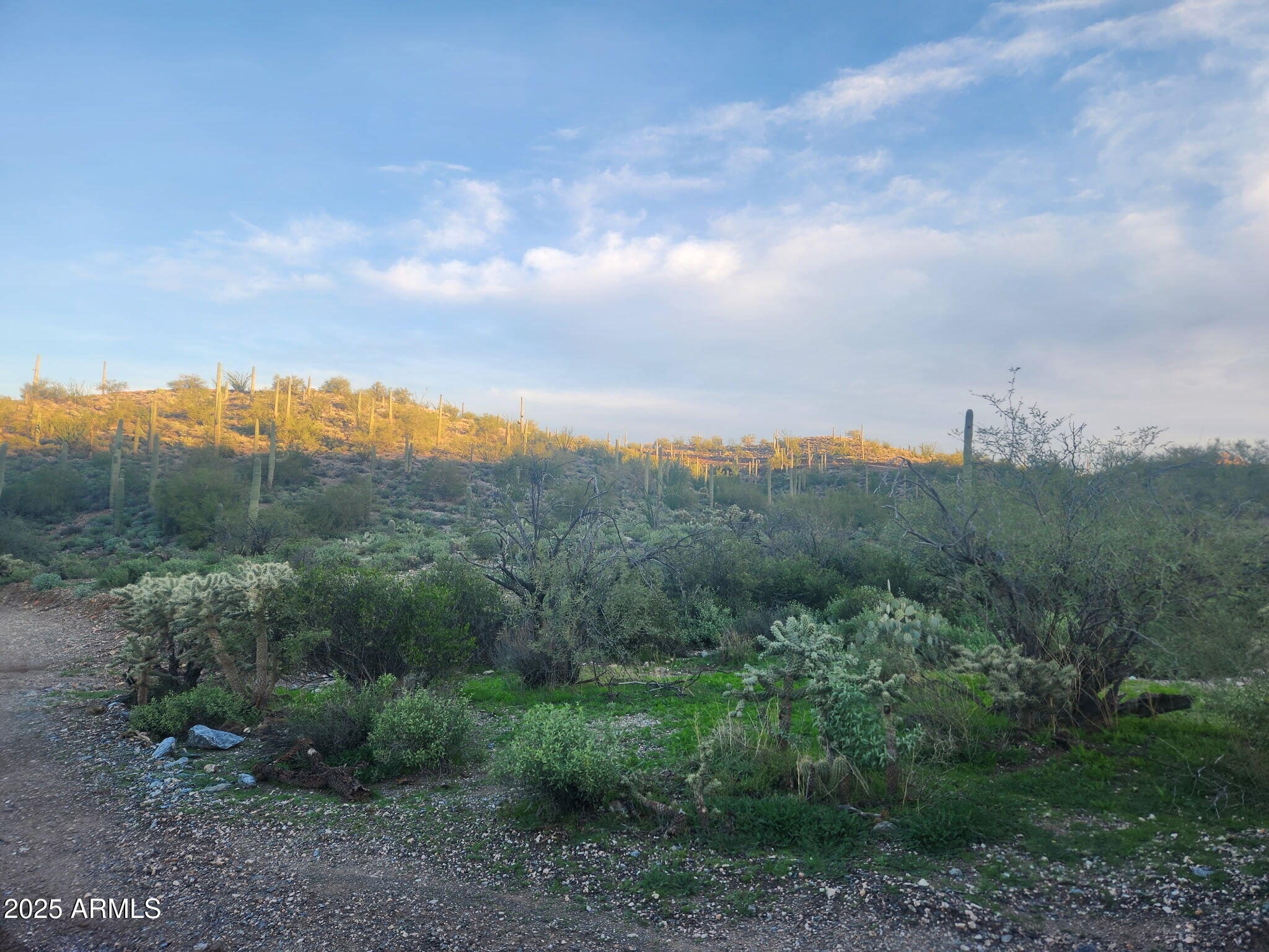 11-xx North Hardt Tank Road, Unit 2 Gold Canyon, AZ 85118 - Photo 7 of 11 a view of a city and mountains