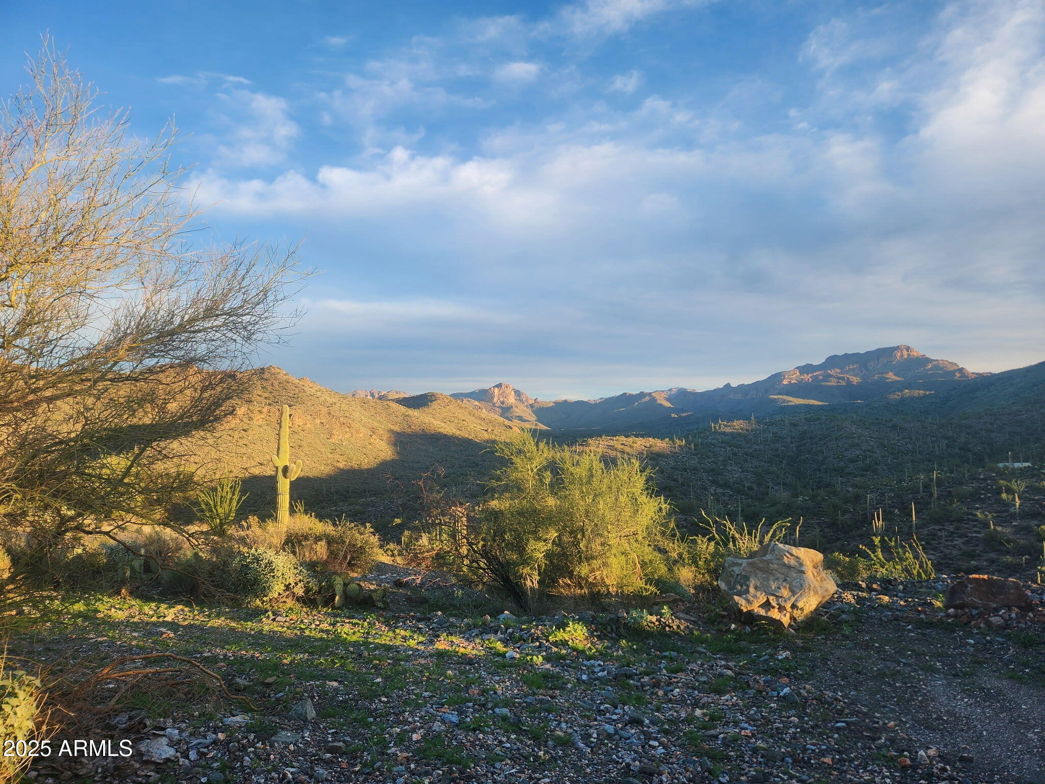 11-xx North Hardt Tank Road, Unit 2 Gold Canyon, AZ 85118 - Photo 9 of 11 a view of an outdoor space yard and mountain