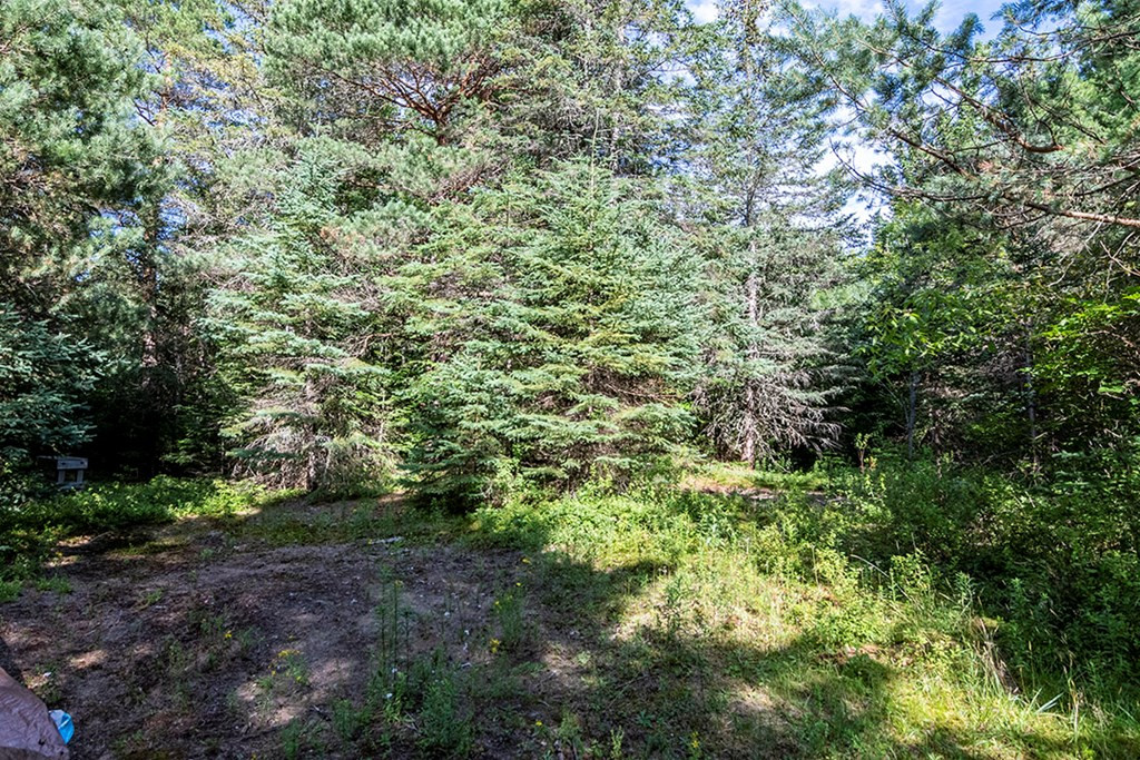 1547 State Rte 3 Bloomingdale, NY 12913 - Photo 15 of 20 Gallery Image 15