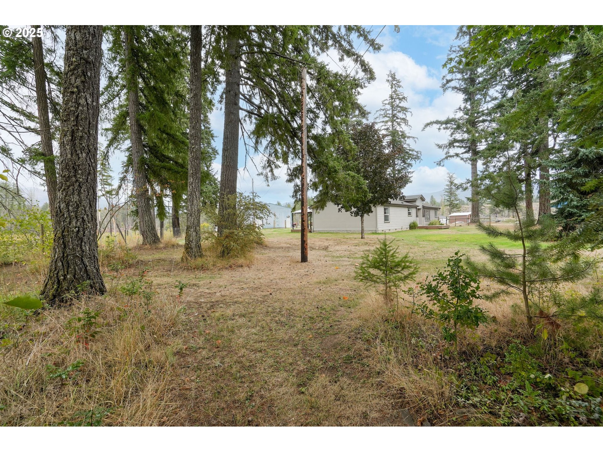 40219 North Dogwood Road Mill City, OR 97360 - Photo 40 of 47 a view of outdoor space with trees