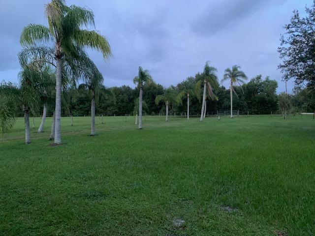 18461 138th Way North Jupiter, FL 33478 - Photo 5 of 5 Palm lined pasture
