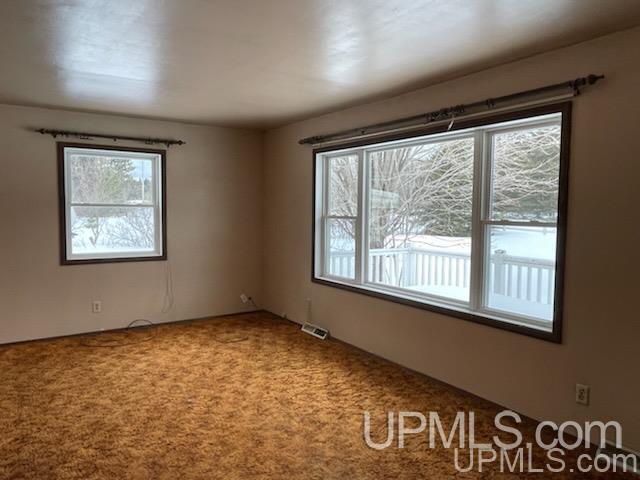 170 Orchard Co Road Skandia, MI 49885 - Photo 3 of 6
