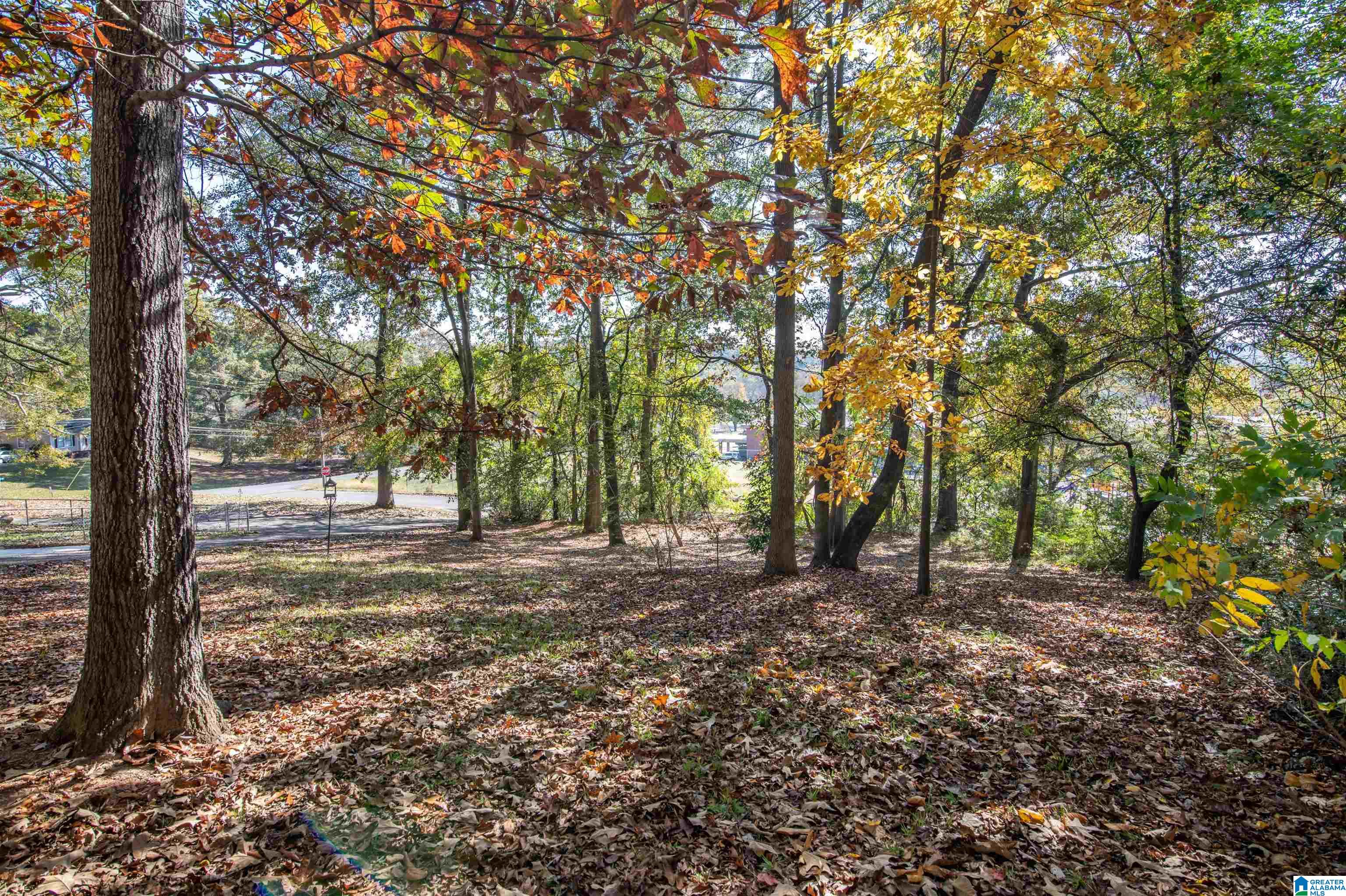 191 Wilson Street Springville, AL 35146 - Photo 41 of 51