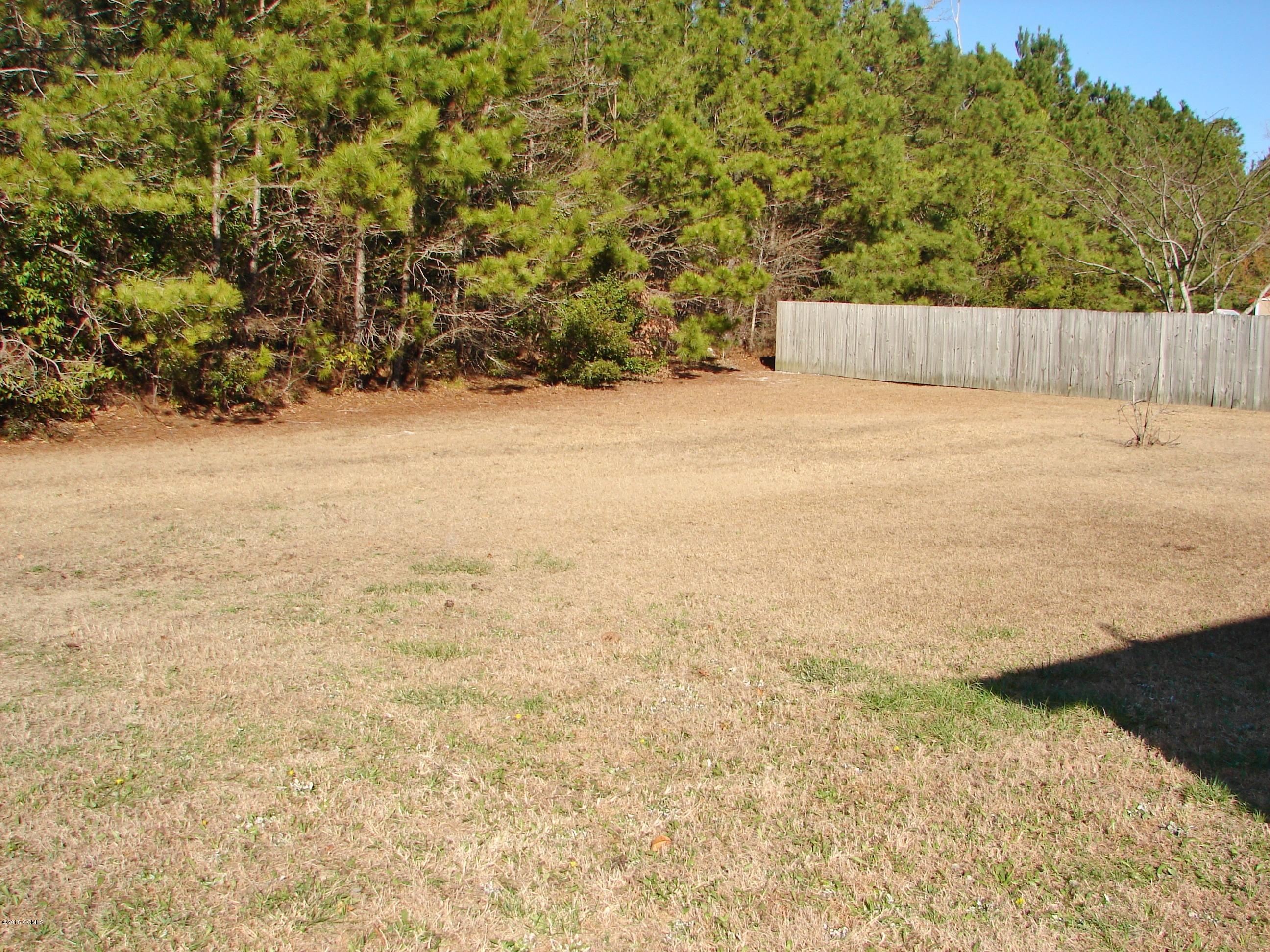 200 Hadnot Farm Road Swansboro, NC 28584 - Photo 14 of 14 Yard