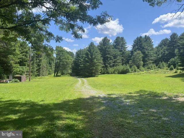 532 Phyllis Paradis Road Karthaus, PA 16845 - Photo 3 of 39