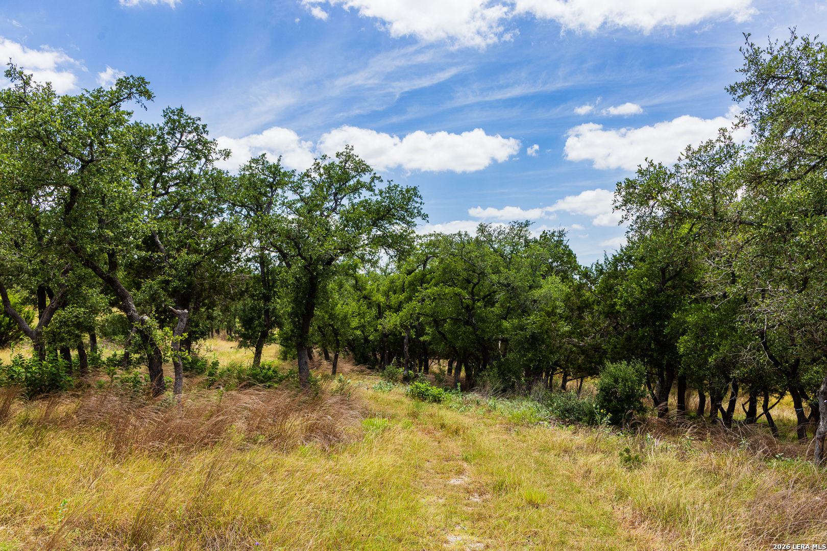 Lot 37 Boot Ranch Circle Fredericksburg, TX 78624 - Photo 6 of 20