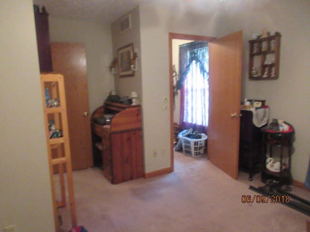 7875 Fenner Road Laingsburg, MI 48848 - Photo 9 of 24 31350293-8.JPG