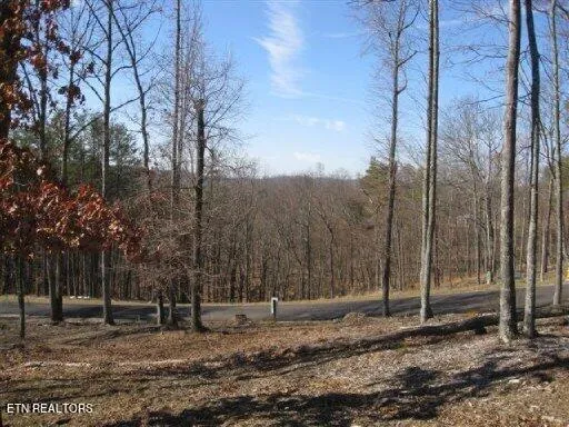 $43,000 | Lot #32 Bayside Boulevard, Bean Station, TN 37708