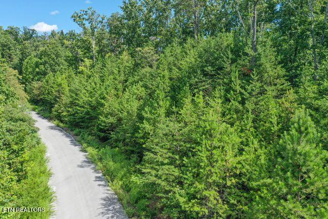 Lot #32 Bayside Boulevard Bean Station, TN 37708 - Photo 14 of 19 Road side