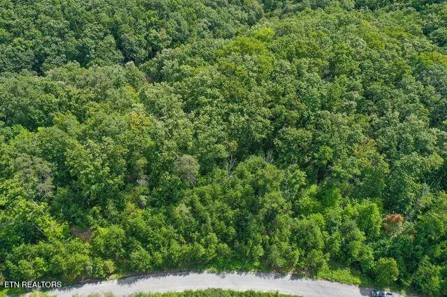 $43,000 | Lot #32 Bayside Boulevard, Bean Station, TN 37708