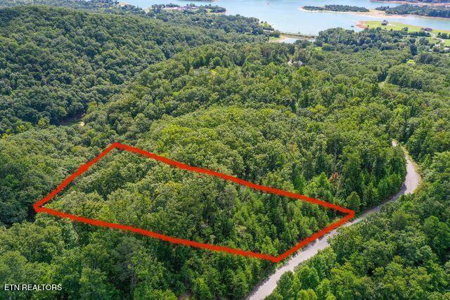 Lot #32 Bayside Boulevard Bean Station, TN 37708 - Photo 16 of 19 M0Ho_b2w