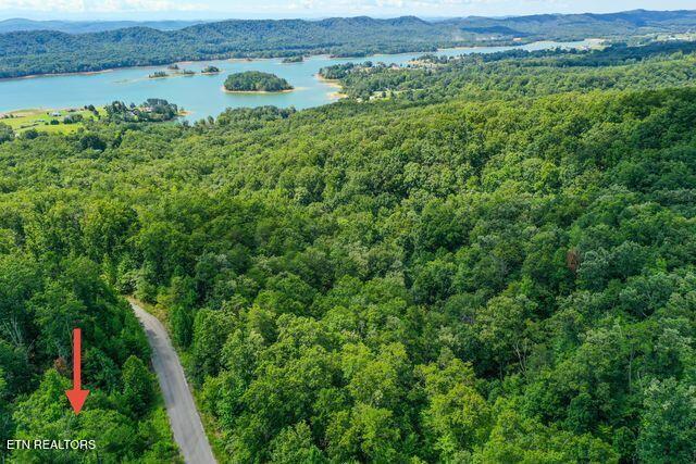 Lot #32 Bayside Boulevard Bean Station, TN 37708 - Photo 17 of 19 NuzXWRaQ