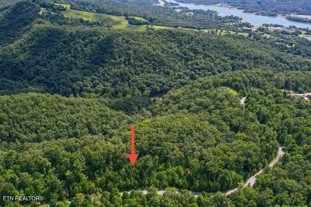 $43,000 | Lot #32 Bayside Boulevard, Bean Station, TN 37708