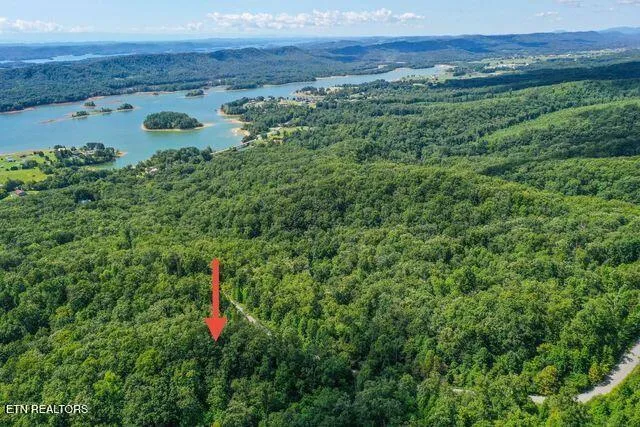 $43,000 | Lot #32 Bayside Boulevard, Bean Station, TN 37708