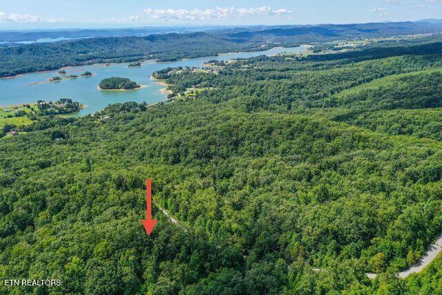 Lot #32 Bayside Boulevard Bean Station, TN 37708 - Photo 7 of 19 dePRaCXg