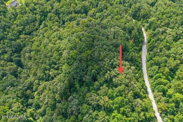 Lot #32 Bayside Boulevard Bean Station, TN 37708 - Photo 8 of 19 Road side view