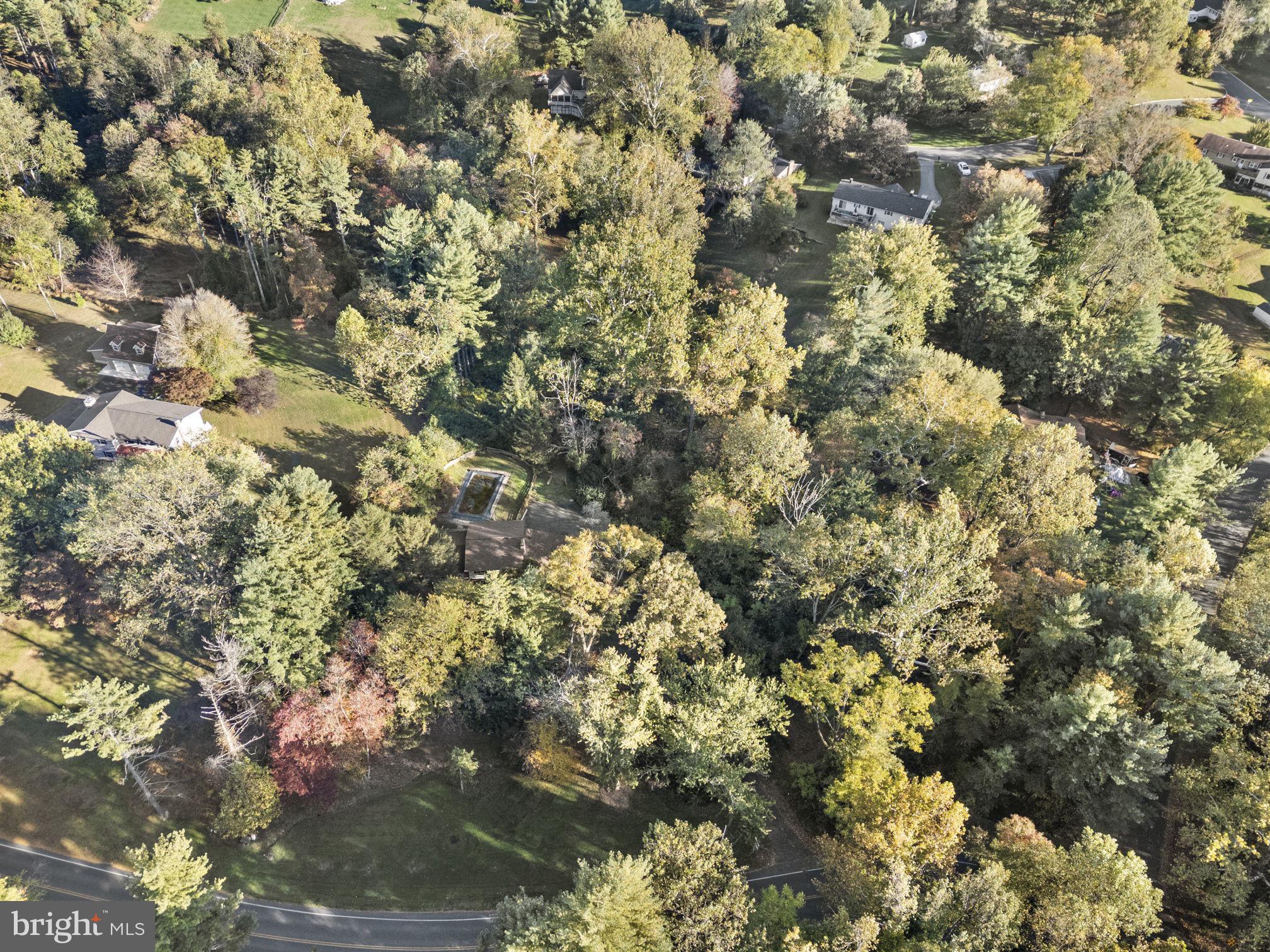 1775 Pleasantville Road Forest Hill, MD 21050 - Photo 24 of 35 a view of a tree