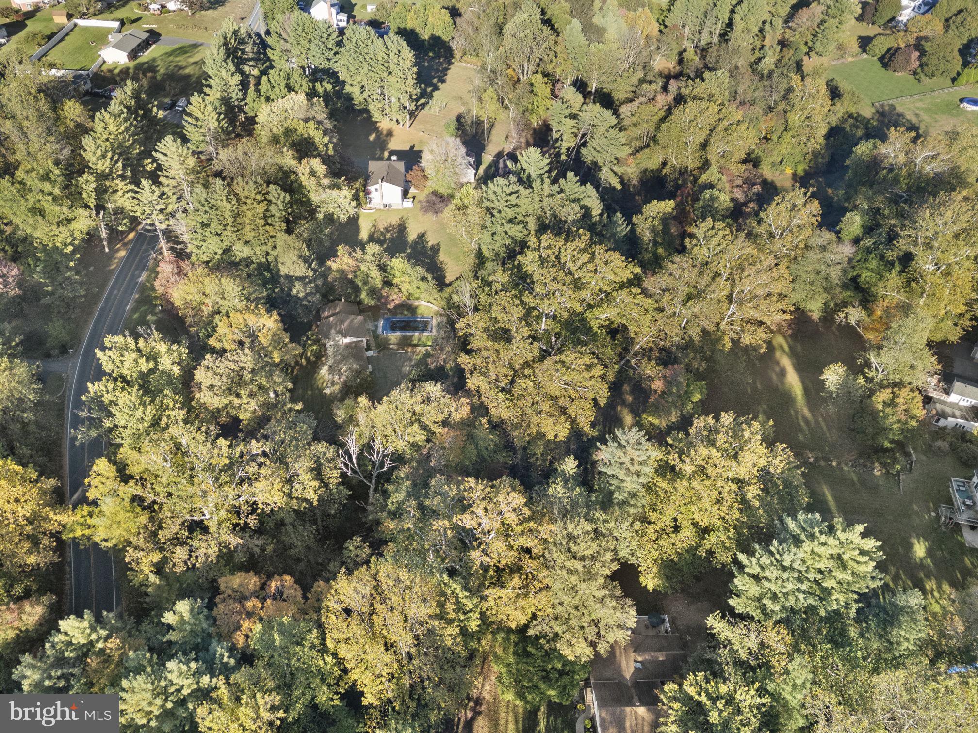 1775 Pleasantville Road Forest Hill, MD 21050 - Photo 25 of 35 a view of a tree