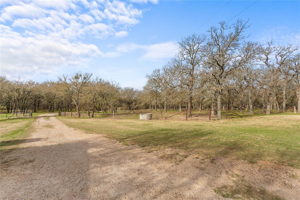 1447 Red Gate Road Mart, TX 76664 - Photo 16 of 38 a view of dirt field with trees