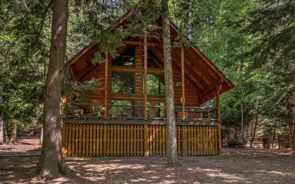 343 Muller Lane Ellijay, GA 30540 - Photo 5 of 35 a view of a house with a small yard