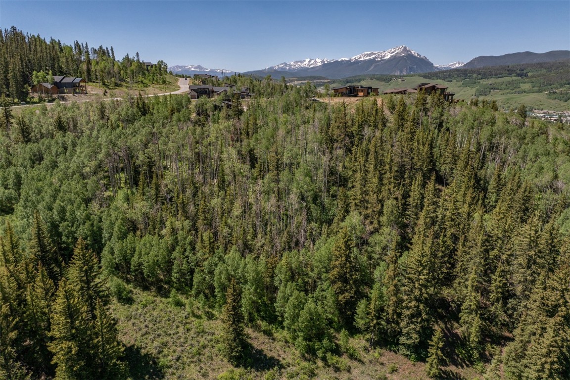 70 Mayfly Drive Silverthorne, CO 80498 - Photo 13 of 20 a view of a city with lush green forest