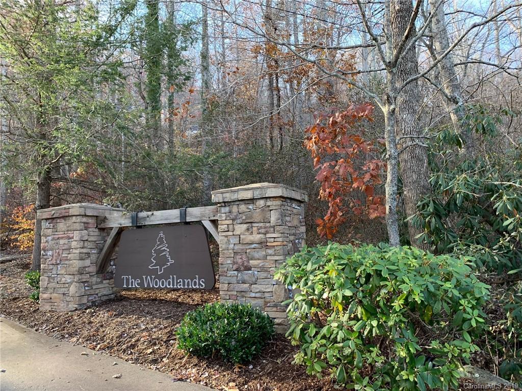 51 Hope View Road, Unit 8 Swannanoa, NC 28778 - Photo 2 of 5 Gallery Image 2