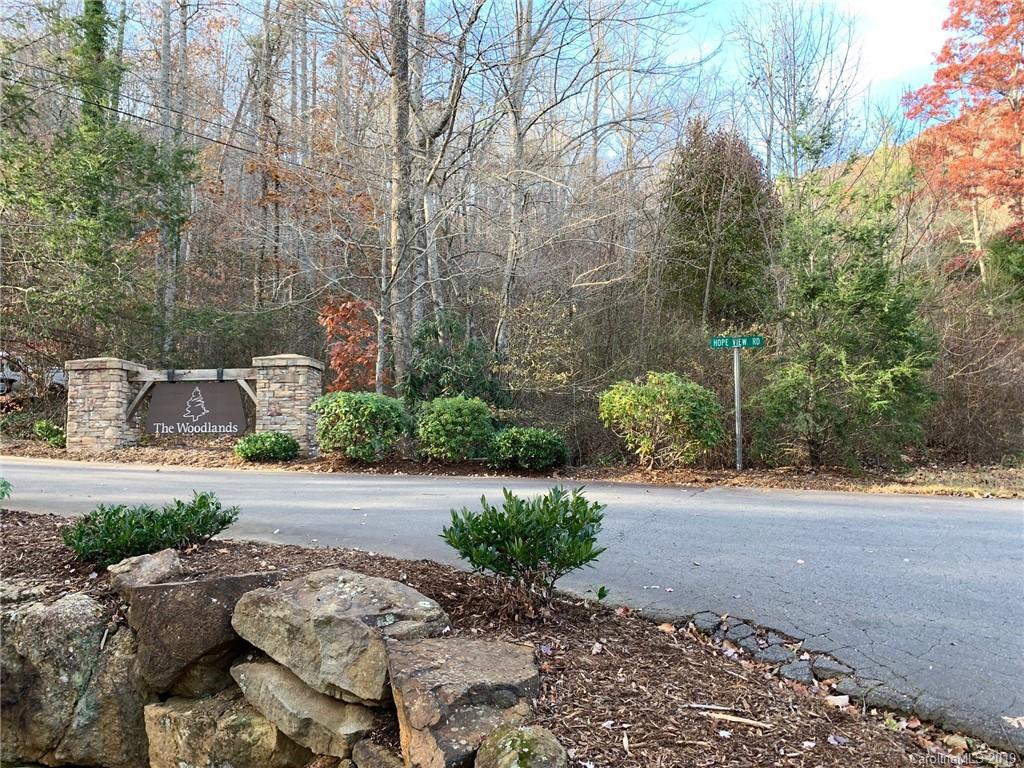 51 Hope View Road, Unit 8 Swannanoa, NC 28778 - Photo 3 of 5 Gallery Image 3