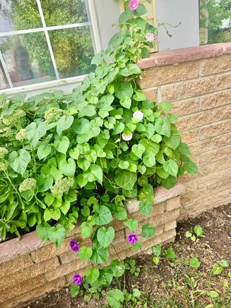 $275,000 | 210 South Lincoln Avenue, Glendo, WY 82213