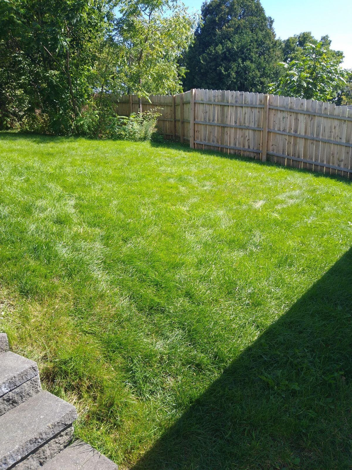 178 Adams Street Rutland, VT 05701 - Photo 47 of 60