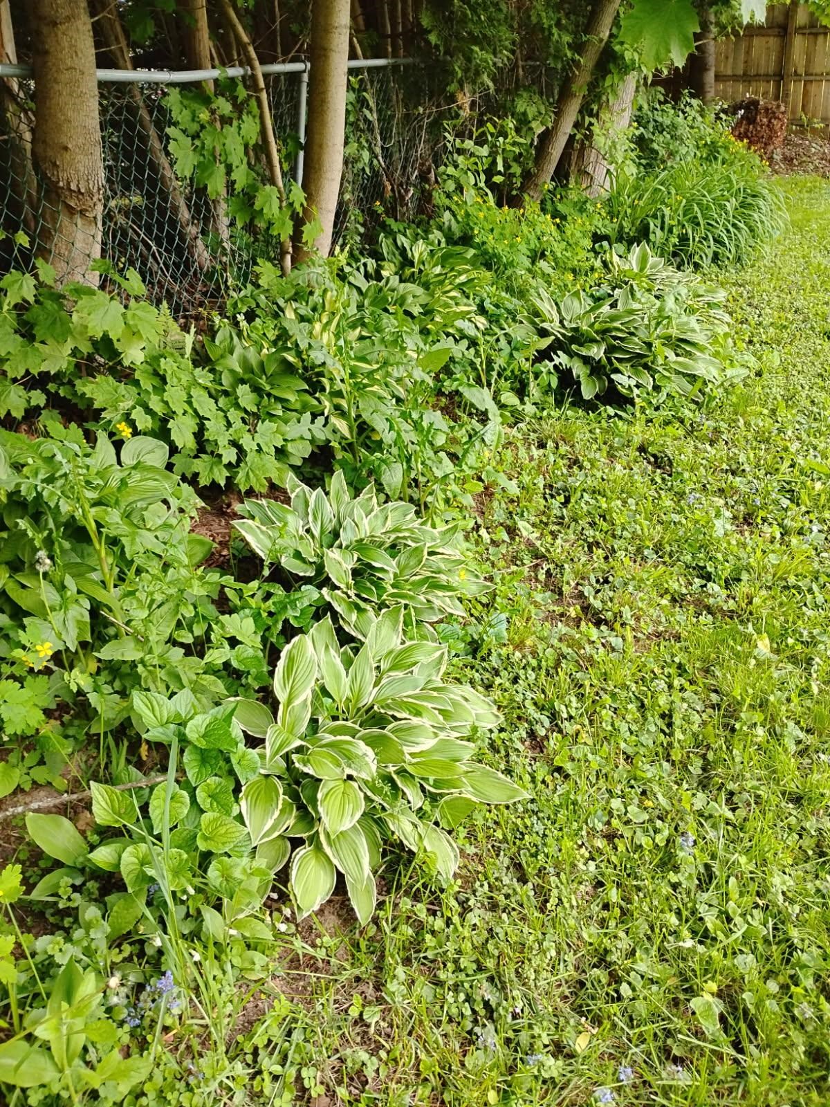 178 Adams Street Rutland, VT 05701 - Photo 49 of 60