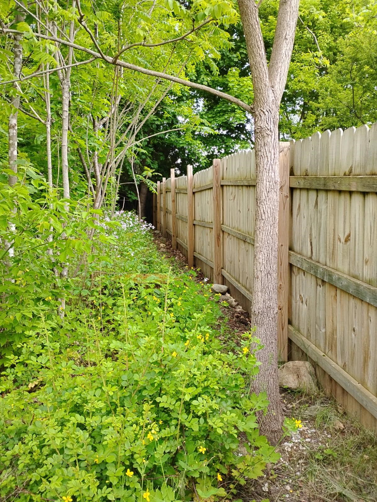 178 Adams Street Rutland, VT 05701 - Photo 51 of 60