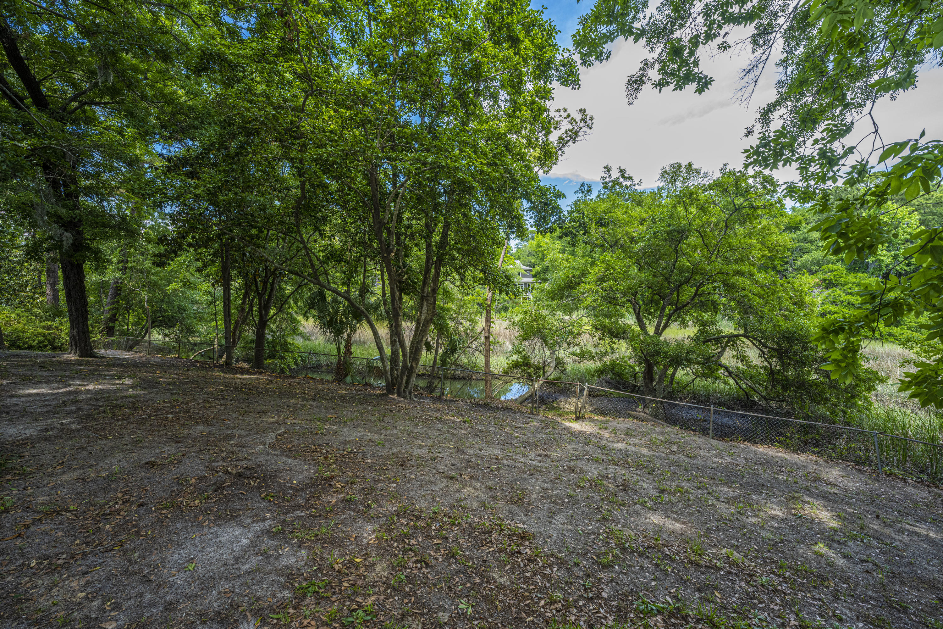 662 Pawley Road Mount Pleasant, SC 29464 - Photo 4 of 28 Back yard