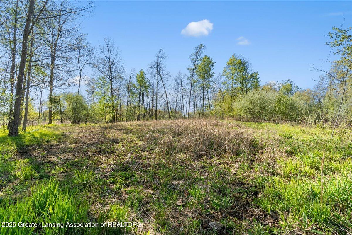 0 Bath Road Perry, MI 48872 - Photo 16 of 34 16-Media Jett - 16
