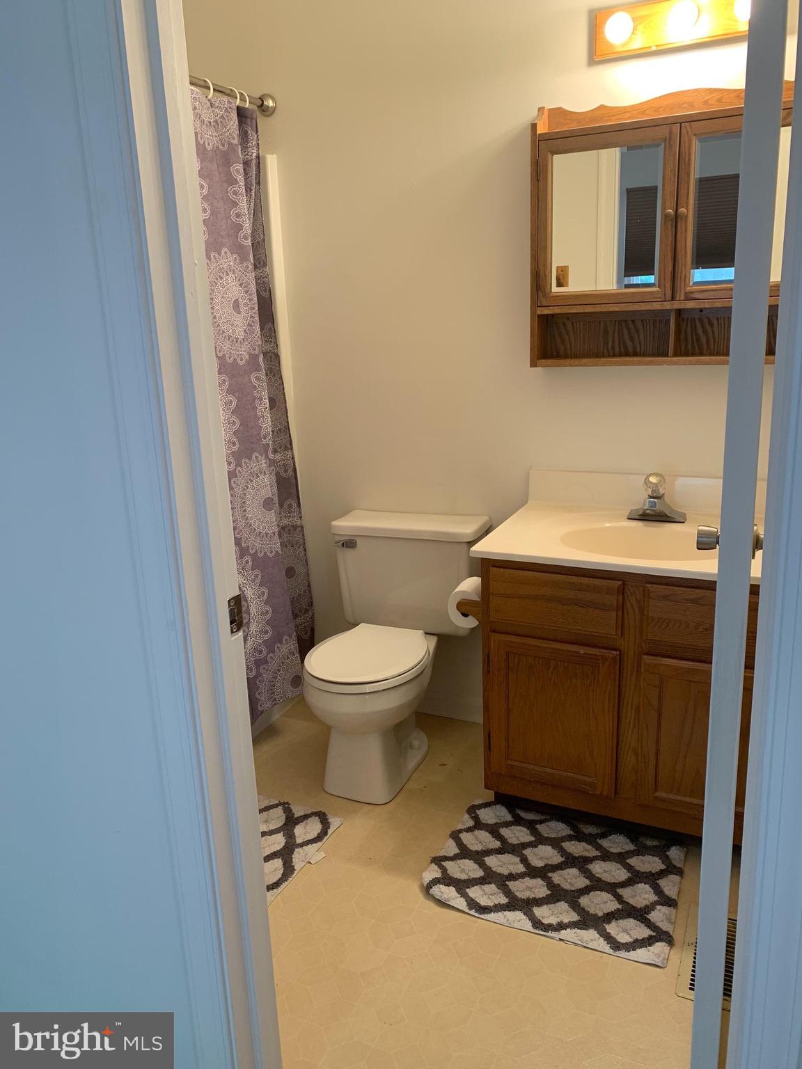 24 Rutherford Place Harpers Ferry, WV 25425 - Photo 23 of 43 Full bath in front room