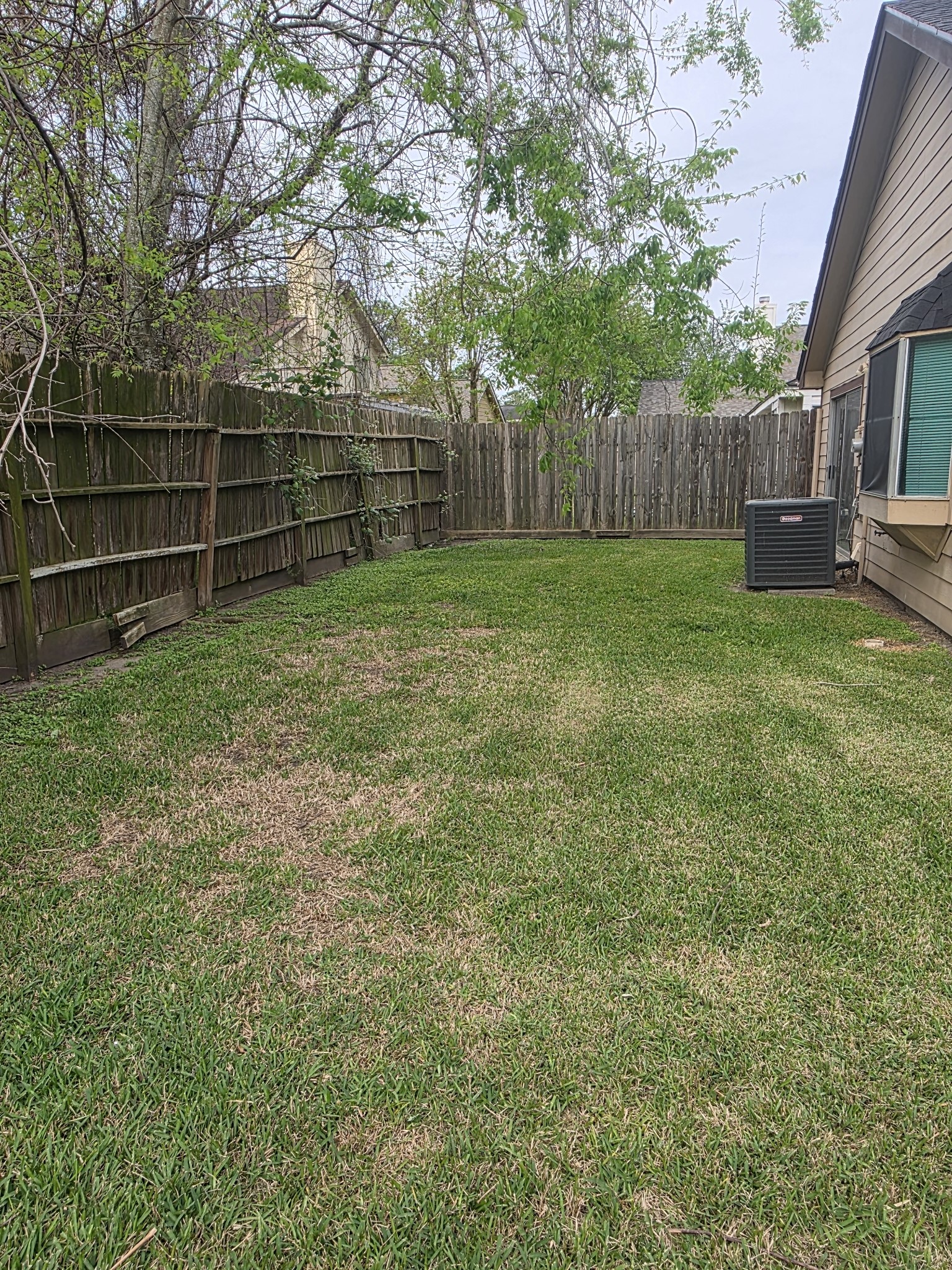 7803 La Rochelle Circle Houston, TX 77071 - Photo 8 of 10 a view of a backyard with large trees and wooden fence