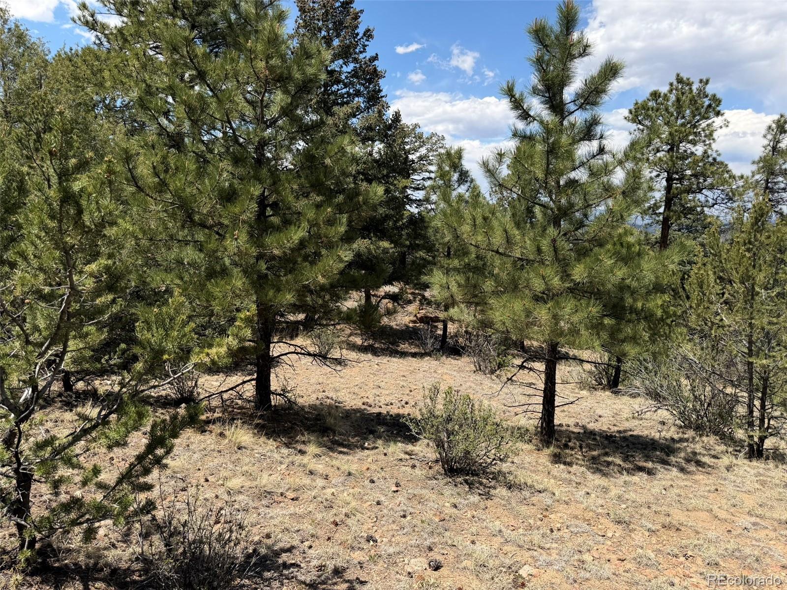 477 Bear Peak Road Westcliffe, CO 81252 - Photo 23 of 39