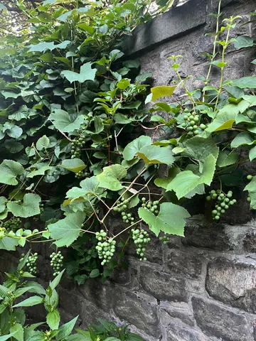 $1,250,000 | 55 Clubhouse Road, Tuxedo Park, NY 10987